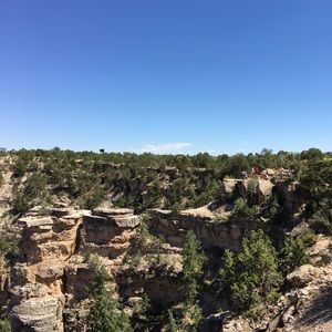 Meet your Posher, Bea